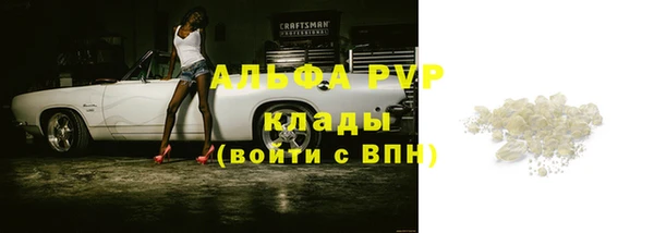прущие крисы Белокуриха