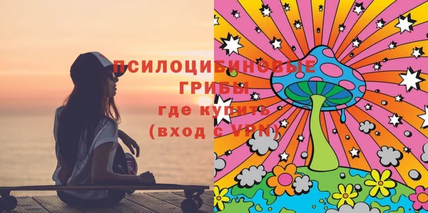 прущие крисы Белокуриха