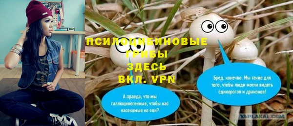 гашик Осташков
