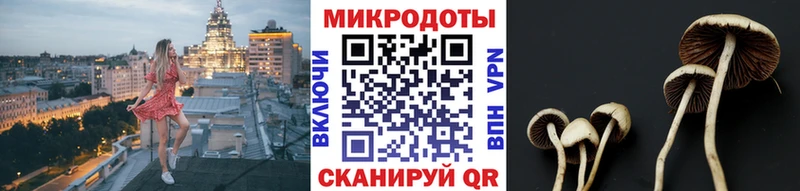 где найти   ссылка на мегу ТОР  Псилоцибиновые грибы Psilocybine cubensis  Комсомольск 